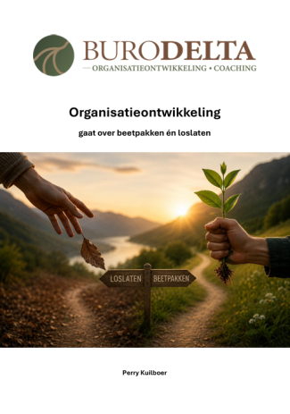 cover white paper organisatieontwikkeling gaat over beetpakken en loslaten